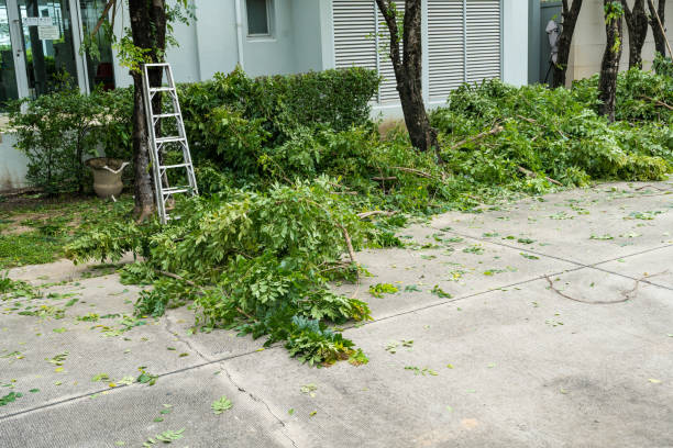 Lawn Watering Services in Whitefish Bay, WI