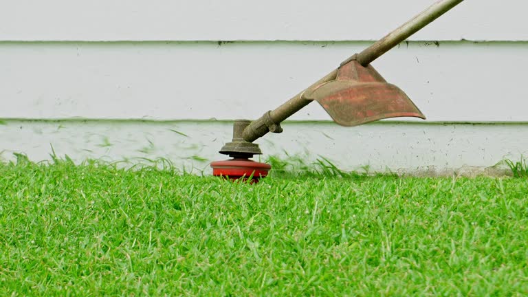 Mulching Services in Whitefish Bay, WI